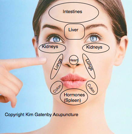 facial massage maps facial massage maps