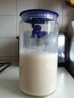 Homemade Almond Milk