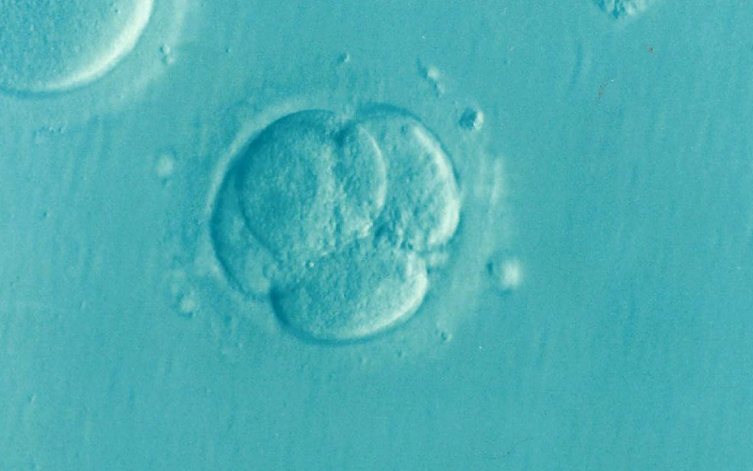 low ovarian reserve