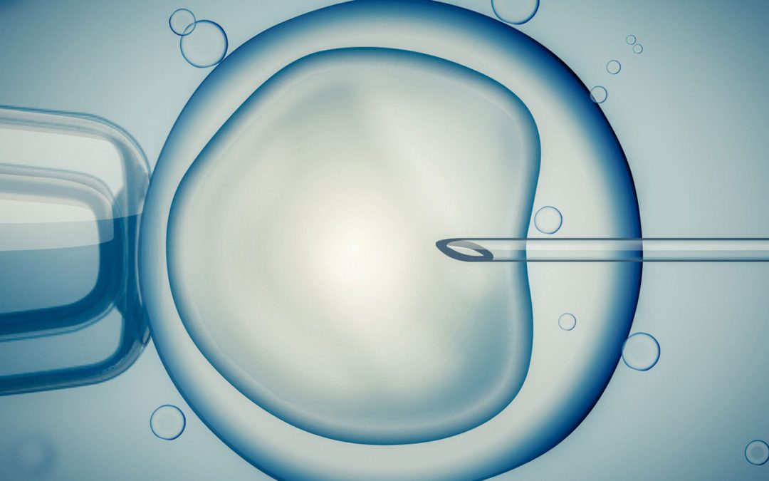 Master of Reproductive Medicine